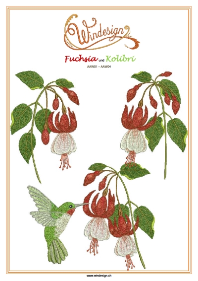 Fuchsia und Kolibri