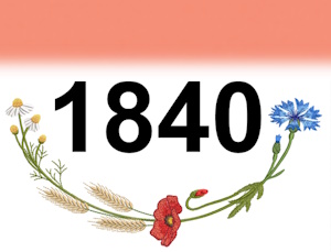 Stickgarn Amann ISACORD 40 Farbe 1840