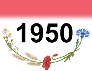 Stickgarn ISACORD 40 Farbe 1950